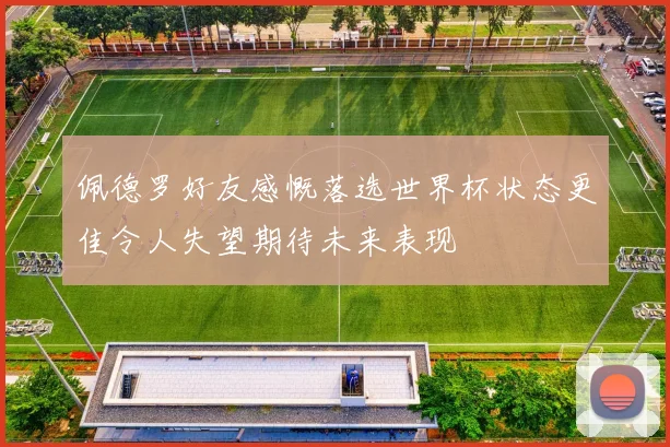佩德罗好友感慨落选世界杯状态更佳令人失望期待未来表现